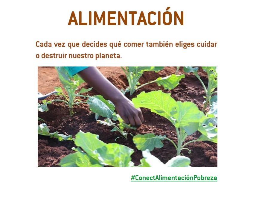 Documento